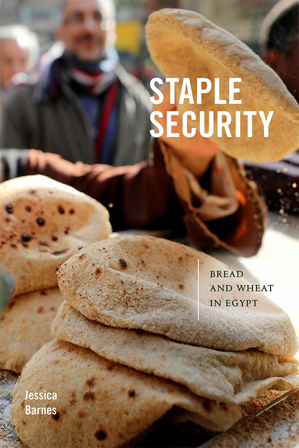 New Book: Staple Security by Jessica Barnes